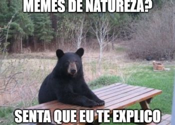 Meme criado pela Divisão de Imprensa, da Itaipu, com base em imagem: https://imgflip.com/memegenerator