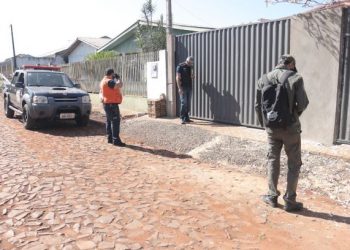 Inspeções começam na segunda (28). Foto: PMFI/Divulgação