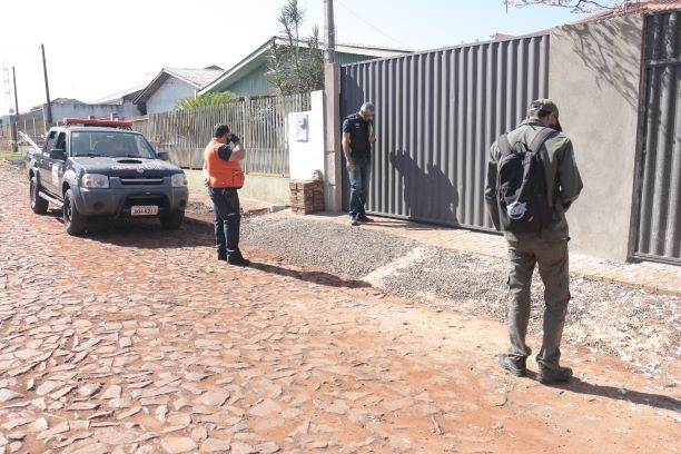 Inspeções começam na segunda (28). Foto: PMFI/Divulgação