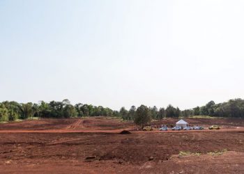 Parte da área onde serão plantadas as mudas. Foto: Rubens Fraulini/Itaipu Binacional