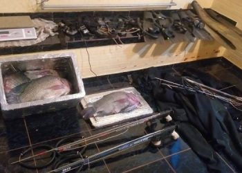 Material e peixes apreendidos. Foto: Divulgação