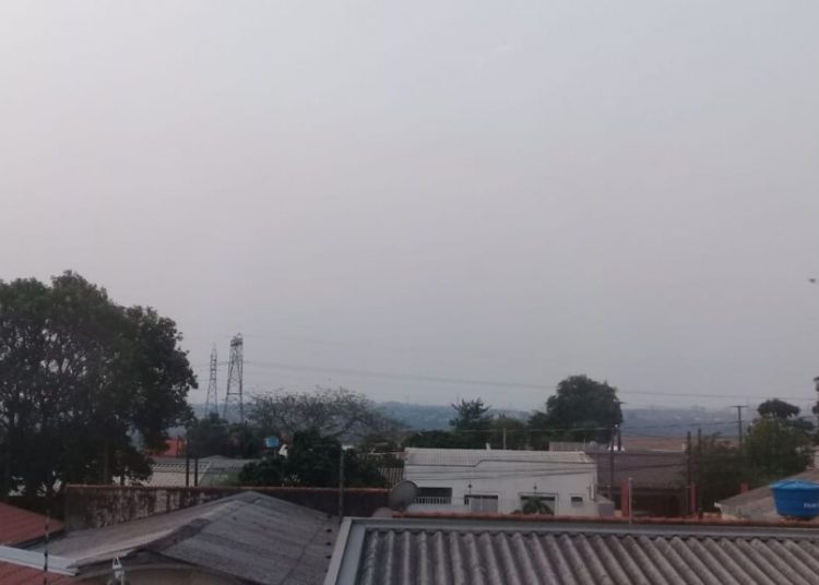 Imagem: Guilherme Wojciechowski / RCI.