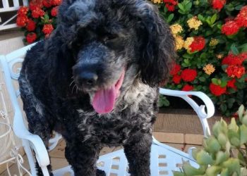 Giba, o próprio!. Foto: arquivo  do autor