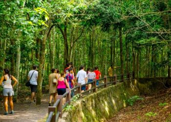 Guia de turismo trabalhando no Refúgio Bela Vista. Foto: Alexandre Marchetti/Itaipu Binacional.