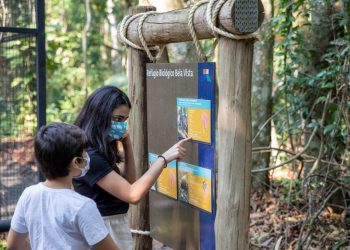Turistas no Refúgio Biológico Bela Vista, um dos atratativos da Itaipu. Foto: Kiko Sierich/PTI.