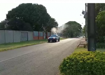 Aplicação de inseticida em Foz. Foto: PMFI/Divulgação