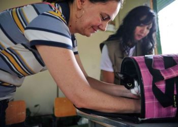 Estudo brasileiro é o primeiro do tipo em um país tropical. Foto: Marcelo Camargo/Agência Brasil)