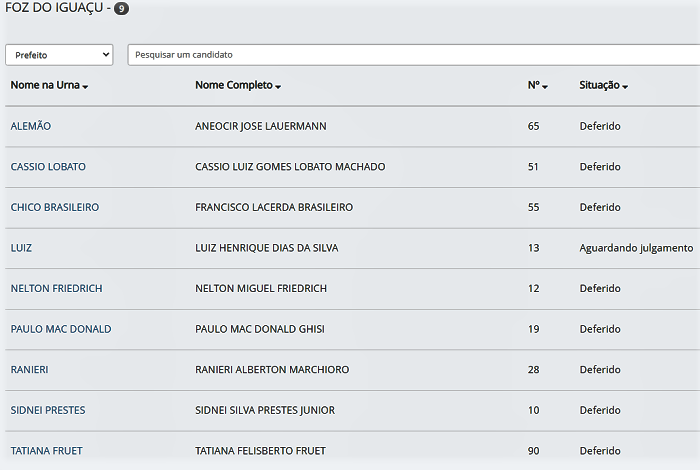 Reprodução site do TSE