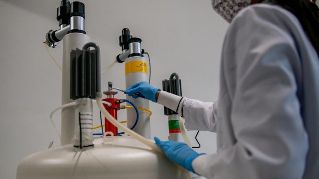 Chamado popularmente de “falsificado” ou “fake”, o álcool em gel com fórmula não apropriada para fins antissépticos, mas que é vendido como tal, continua um problema para o brasileiro durante a pandemia de Covid-19. (Foto: UFPR)
