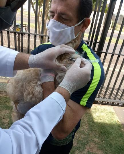 Coleta de secreções de cães cujo dono teve Covid-19. Foto: UNILA/Divulgação