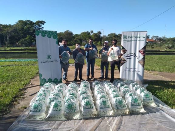 Alevinos prontos para a distribuição. Foto: IP/Divulgação