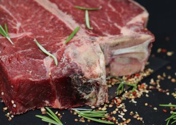 Foto ilustrativa: Pixabay