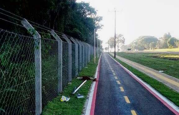 Ação de ladrões da Vila A. Foto: divulgação