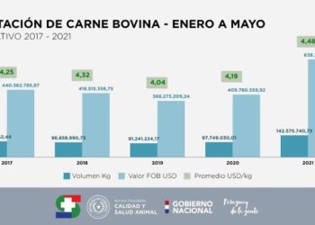 Ilustração: IP/Divulgação