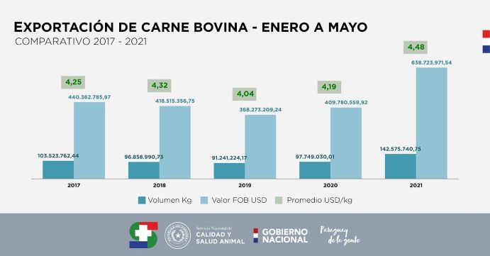 Ilustração: IP/Divulgação