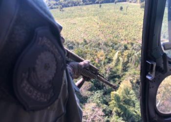 Operação para erradicar maconha no Paraguai. Foto: PF/Divulgação