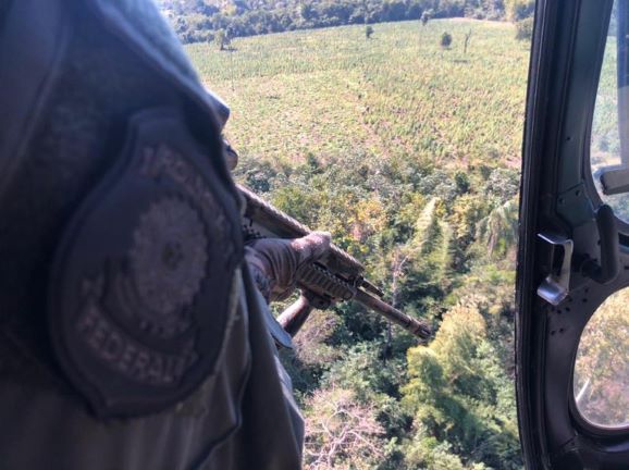 Operação para erradicar maconha no Paraguai. Foto: PF/Divulgação