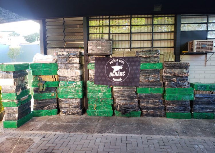 Maconha apreendida na operação. Foto: divulgação