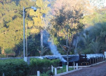 Onde há fumaça... não há gelo: plantas do RBV foram protegidas com uma técnica nova. Fotos: divulgação/JIE