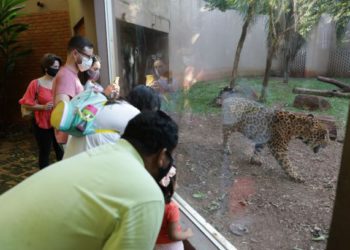 Turistas visitam o Refúgio Biológico da Itaipu. Foto: Itaipu/Divulgação