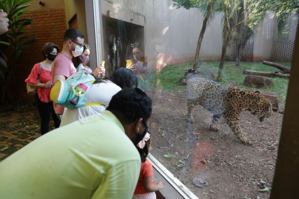 Turistas visitam o Refúgio Biológico da Itaipu. Foto: Itaipu/Divulgação