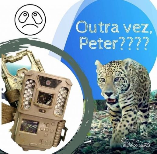 Ilustração: Divulgação