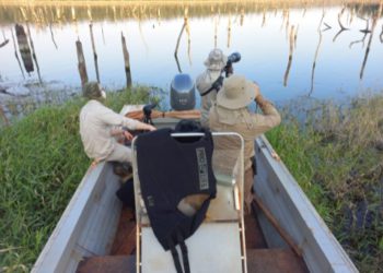 Monitoramento das aves. Foto: IB/Margem paraguaia