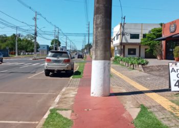 Nova atração turística criada pela administração (?) do prefeito Chico Brasileiro: postes (tem vários) no meio de uma das principais ciclovias da cidade. Foto: Não Viu?
