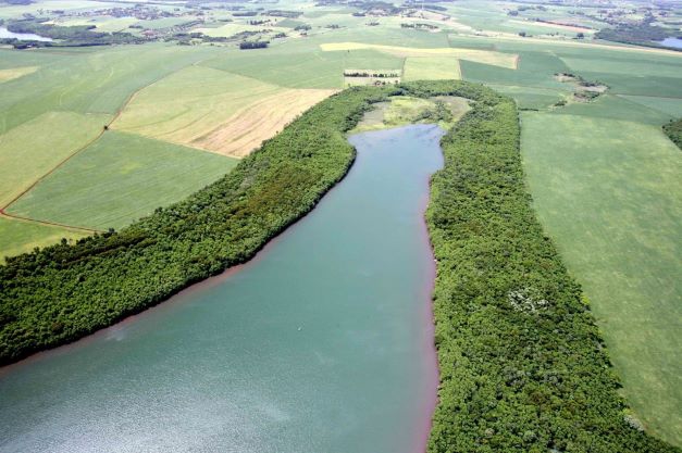 Marco histórico: Itaipu comemora o plantio de 24 milhões de mudas nas suas áreas protegidas. Foto:  Foto: Caio Coronel/Itaipu Binacional