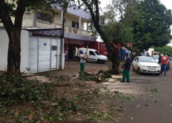 Estragos do temporal. Foto: PMFI/Divulgação