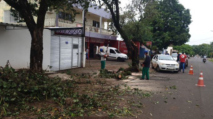 Estragos do temporal. Foto: PMFI/Divulgação
