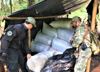 Operação em andamento. Foto: Agência IP