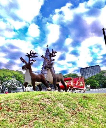 Decoração na Praça da Paz está em fase final. Foto: JIE/Patrícia Iunovich e Leilane Benetta