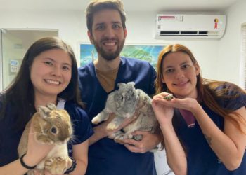 Stacy, Ewerton e Eliane com alguns dos animais que atendem. Fotos: Faunavet/ Divulgação