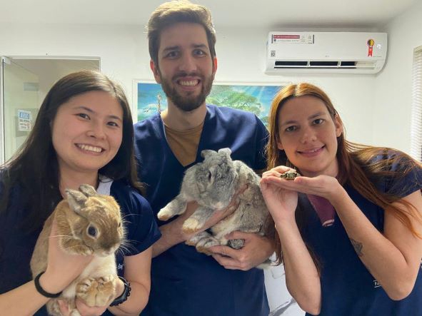 Stacy, Ewerton e Eliane com alguns dos animais que atendem. Fotos: Faunavet/ Divulgação