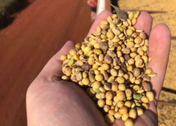 Foto ilustrativa: La Clave