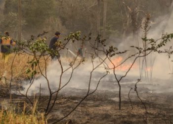 Queimada criminosa no Paraguai. Foto: Agência IP