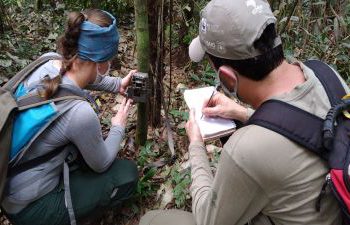 A foto ilustrativa mostra a instalação de câmeras por pesquisadores do Projeto Onças do Iguaçu, no lado brasileiro do parque. (PNI/ICMBio).