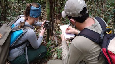 A foto ilustrativa mostra a instalação de câmeras por pesquisadores do Projeto Onças do Iguaçu, no lado brasileiro do parque. (PNI/ICMBio).