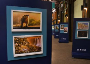 Exposição aberta ao público. Foto: Alexandre Soto/#FotoEquipeCataratas