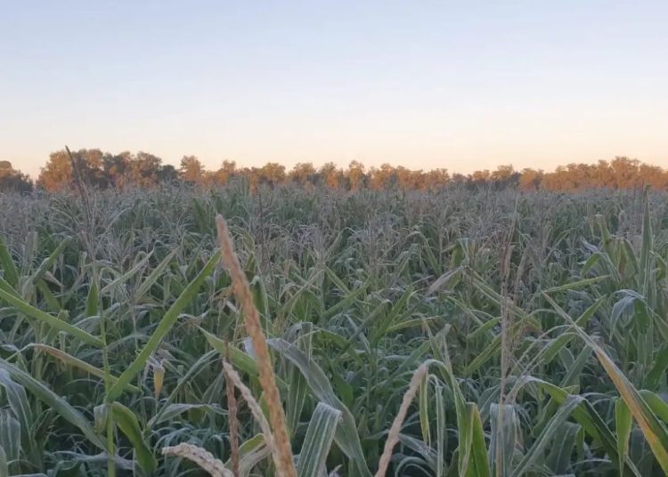 Foto ilustrativa: jornal 5Días