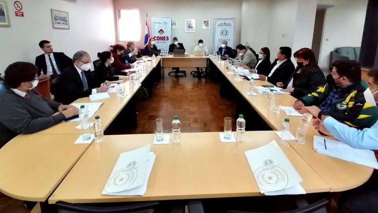 Sessão do CONES realizada de 31 março, que determinou o fechamento dos cursos de Medicina. Foto: CONES