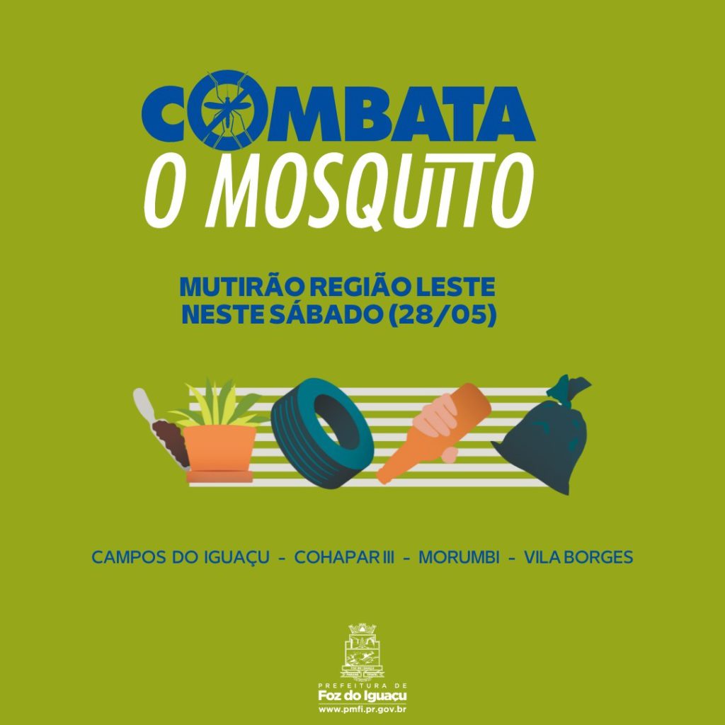 dengue foz