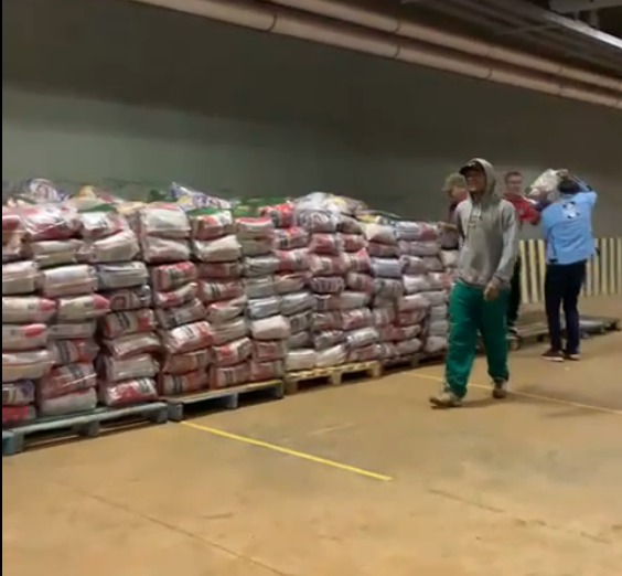 Os alimentos serão direcionados para as famílias em situação de vulnerabilidade. Foto: PMFI/Divulgação