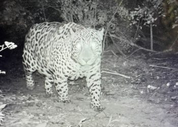 As fotos são da margem paraguaia da Itaipu Binacional liberadas para a divulgação.