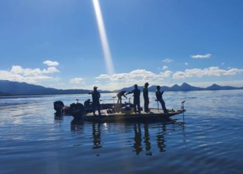 Portaria estende área para pescadores profissionais de Porto Ubá -
Foto: SEDEST-PARANÁ