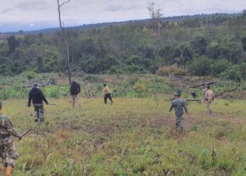 Foto ilustrativa: Polícia Federal/Divulgação