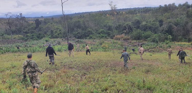 Foto ilustrativa: Polícia Federal/Divulgação
