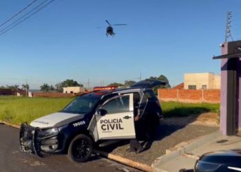 Operação da PCPR mira organização criminosa ligada ao tráfico em Loanda e Porto Rico -
Foto: PCPR