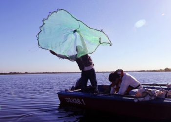 Foto ilustrativa: Agência IP